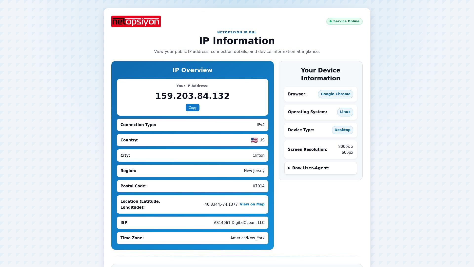 Check IP Address
