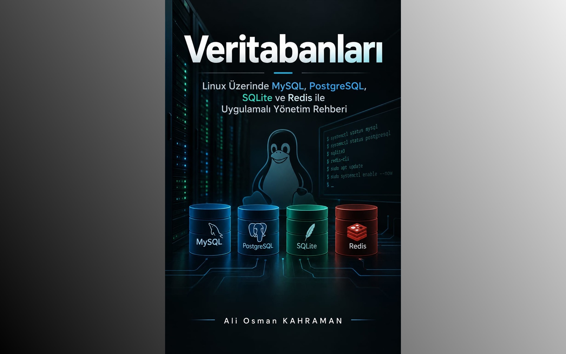 Veritabanları